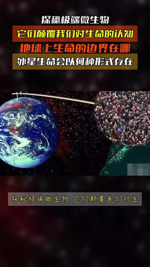 生物思维是什么_生物思维导图设计大赛_不思议微生物研究所
