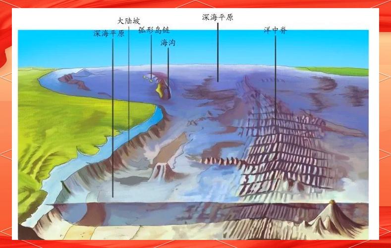 themarine 海洋生态垂直分层图解：themarine带你了解海洋环境与危机