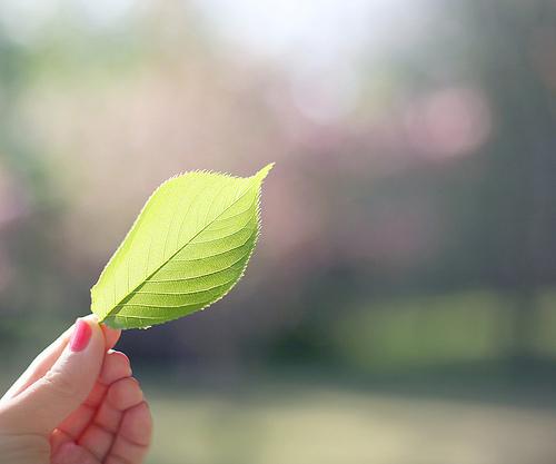 CF个性签名怎么设置？教你用签名找队友、秀态度，30字玩出花样