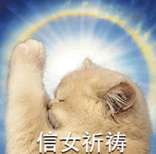 信女_信女是什么意思_信女许愿