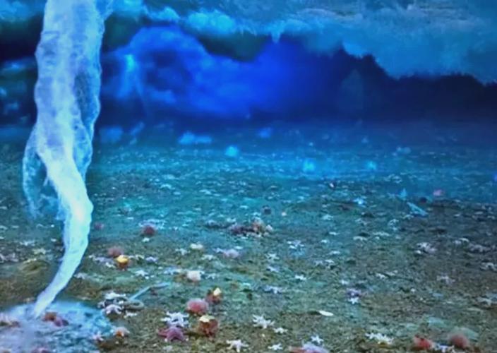 冰冷_冰冷海域_冰冷之海