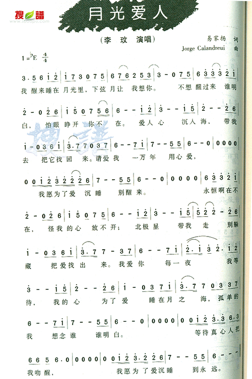 月光爱人简谱详解：轻松掌握D调旋律与四四拍节奏技巧