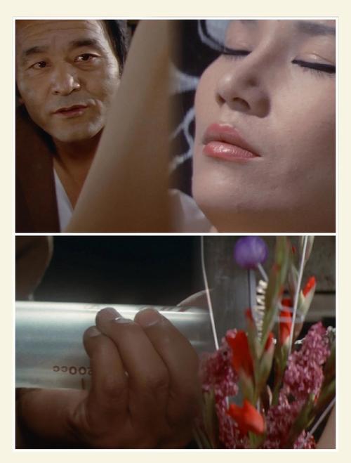 记忆里的鮎川奈绪：她的代表作与2000年代日本影视变迁