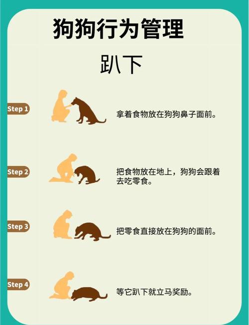 小狗下窝有什么表现_小狗下楼梯对身体好不好_小狗下百层