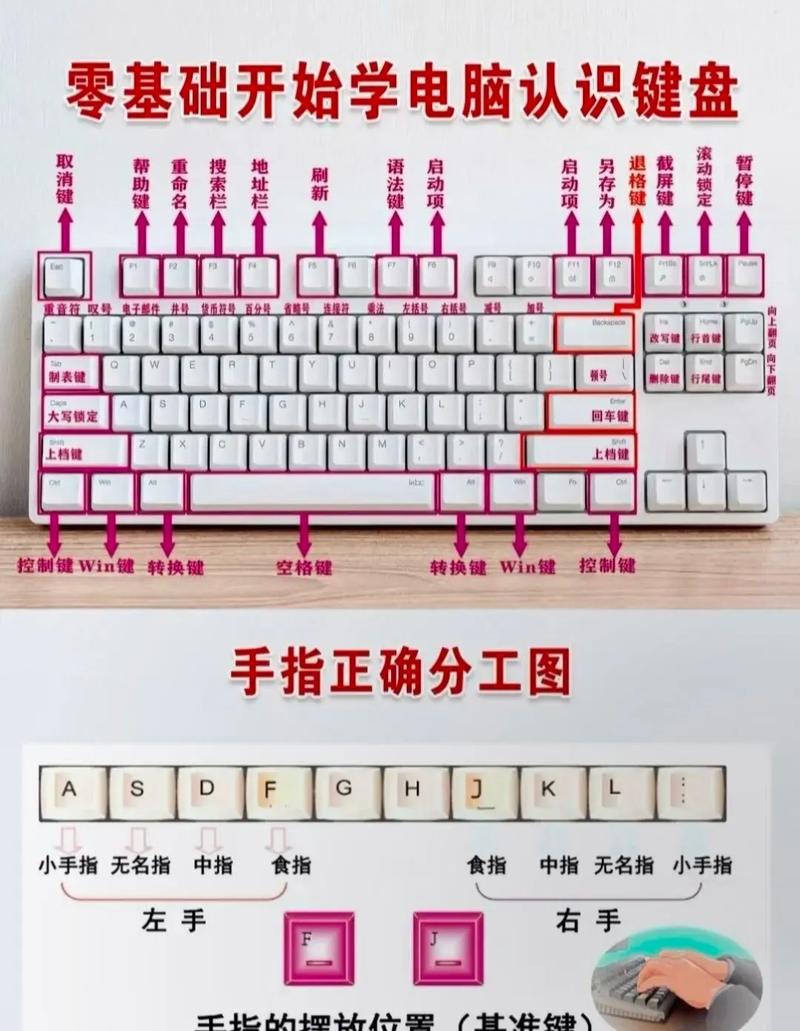 练习五笔打字的软件_五笔打字法自学的软件下载_练五笔输入法的软件