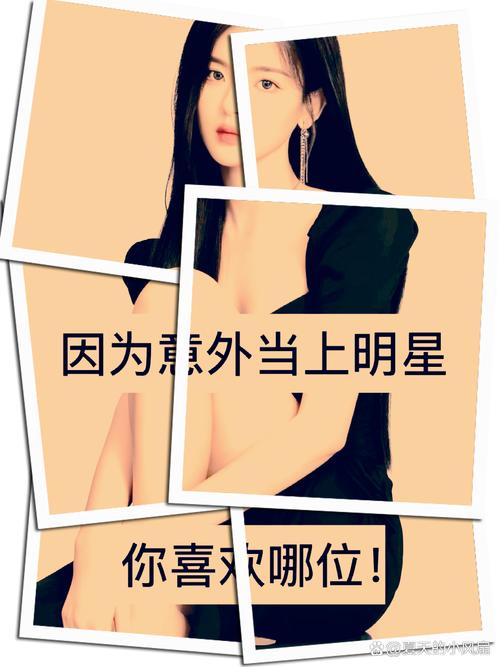 我要当明星_明星要交多少税_明星要听经纪人的话吗