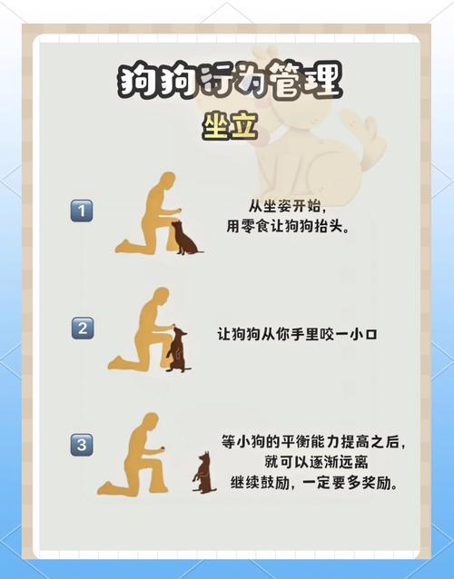 小狗下楼梯对身体好不好_小狗下窝有什么表现_小狗下百层