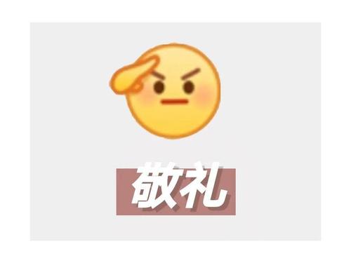 敬礼表情包_敬礼表情包蜡笔小新_敬礼qq表情