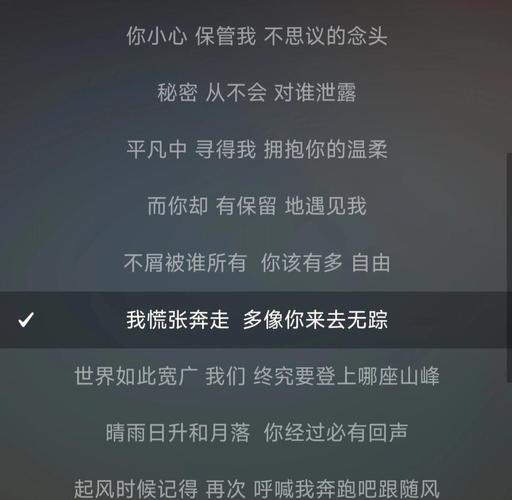 歌词搜歌入口_那首歌歌词_歌词搜歌名怎么搜