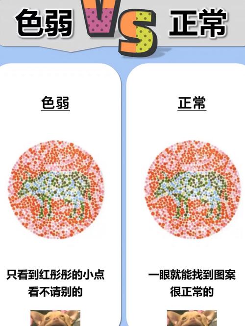 你是不是色盲2_怎么判断自己是不是色盲_什么动物是色盲