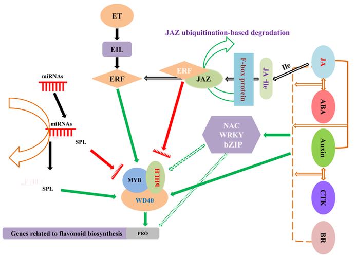 cs生化盟约_生化盟约_生化盟约小说