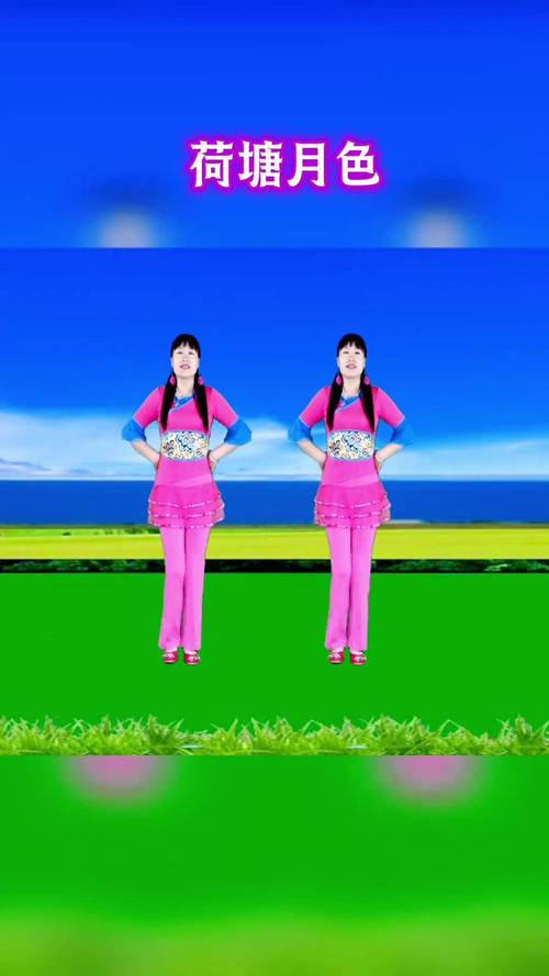 菏塘月色广场舞分解_荷塘月色广场舞简单易学_动动广场舞荷塘月色