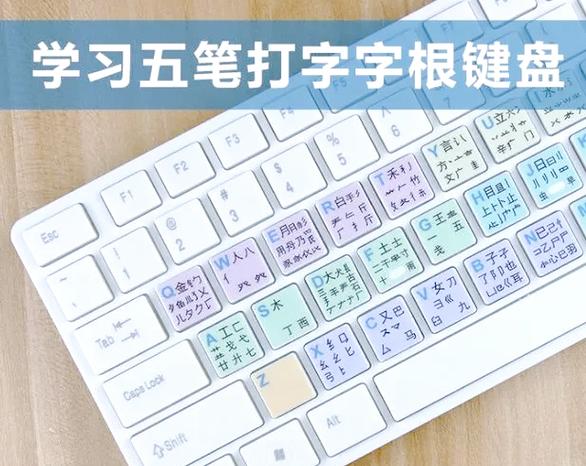 练习五笔打字的软件_五笔打字法自学的软件下载_练五笔输入法的软件