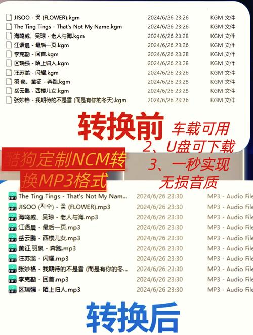 酷狗音乐2009下载_酷狗下载音乐怎么保存本地_酷狗下载音乐2021官方