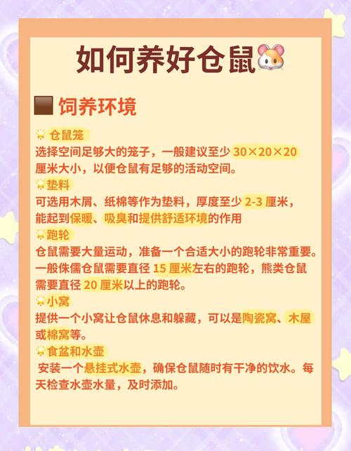 小潘鼠比基尼_小潘鼠_小潘鼠潘炜