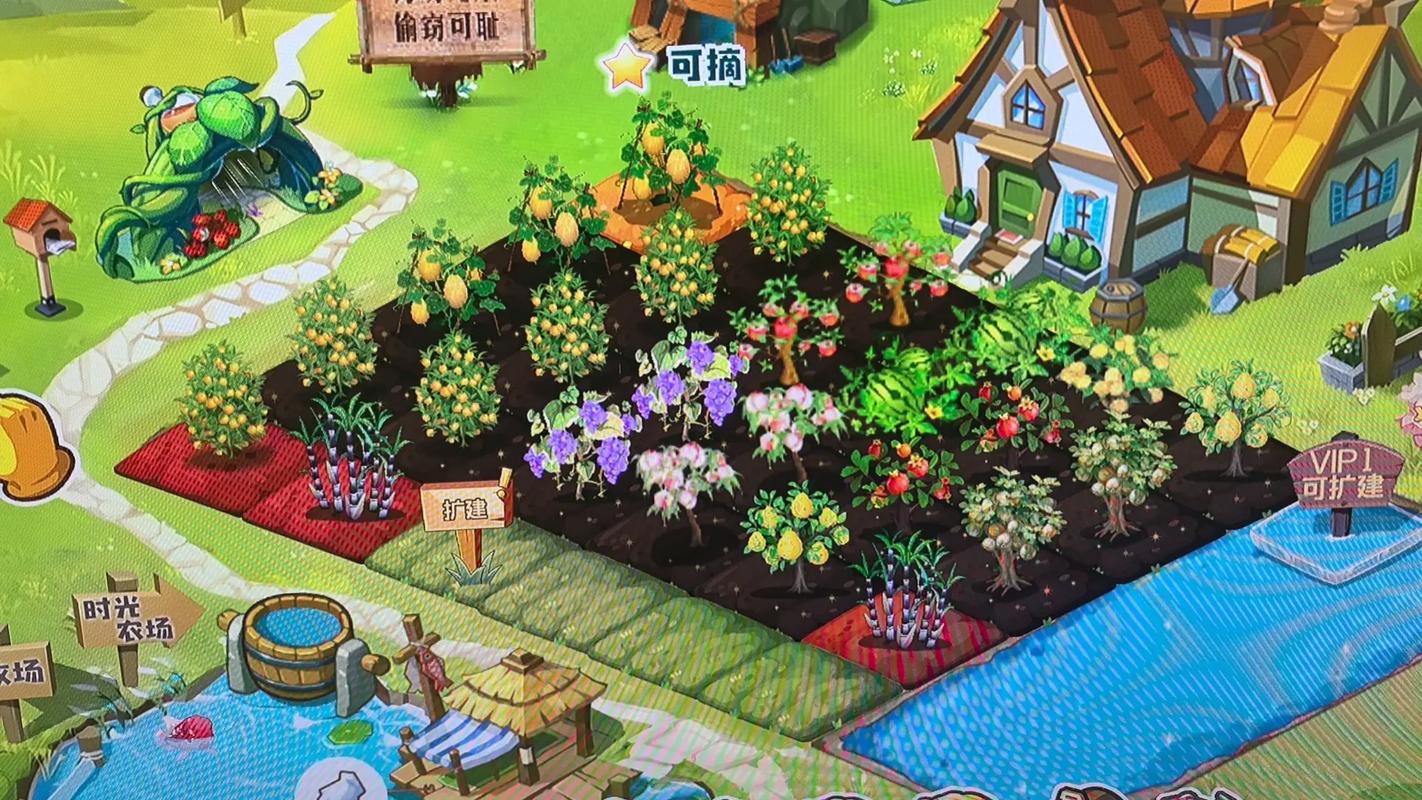 农场偷菜游戏哪个好玩_qq农场怎么偷菜_qq农场偷菜游戏