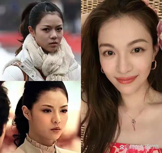 陈敏之整容_陈敏之脸型_陈敏之整容