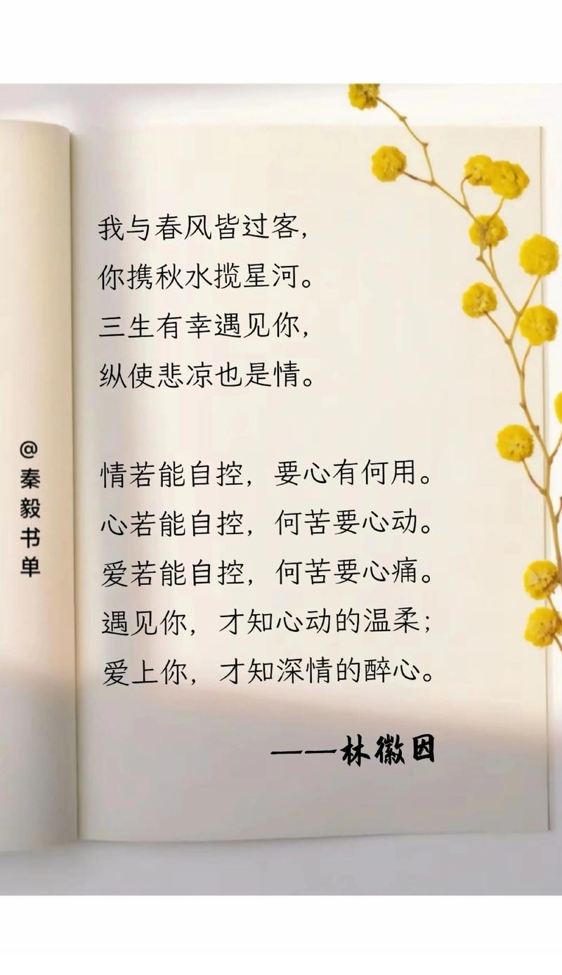 痴情的等待歌词_痴情等待的意思_最痴情的等待词