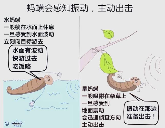 坎东布雷_阿努布雷坎_坎布萨诺