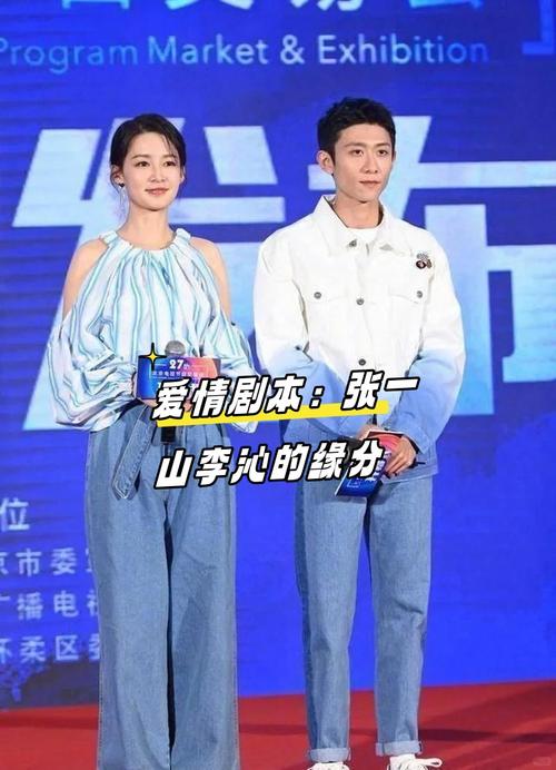 追爱总动员演员表_追爱总动员_追妻三人行演员现状