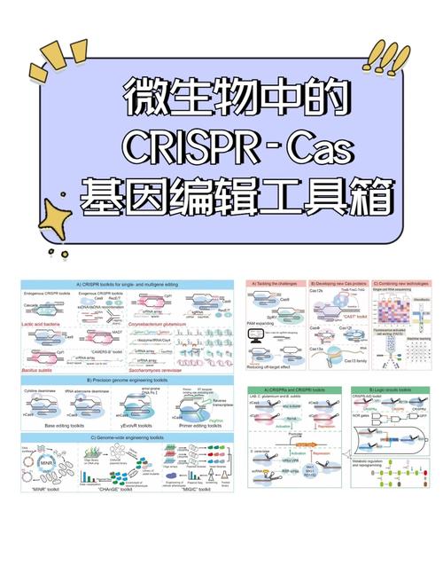 生化盟约是什么？基因编辑与合成生物学的伦理准则