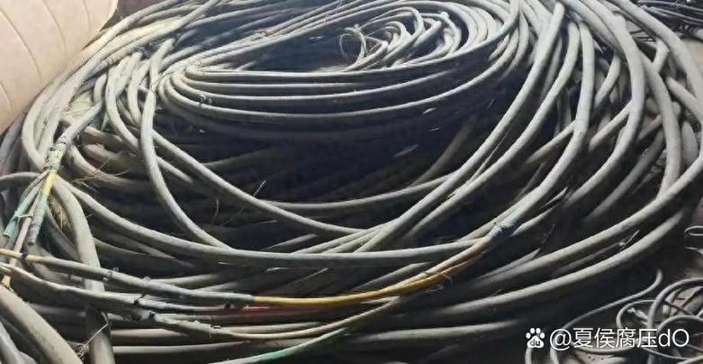 机械污染警示：辛吉德实验室泄漏事故，暴露设备维护与监管漏洞