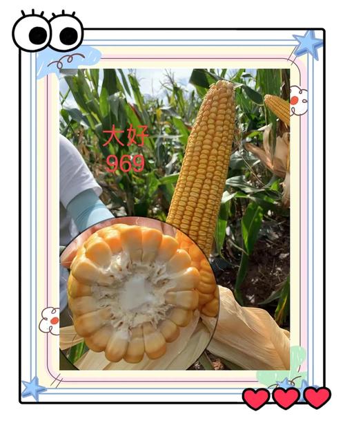 信合369_信合银行_信合卡是什么银行卡