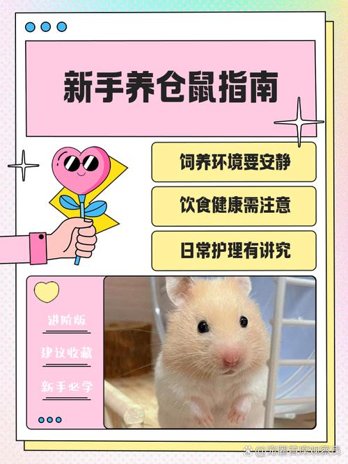 小潘鼠比基尼_小潘鼠_小潘鼠潘炜