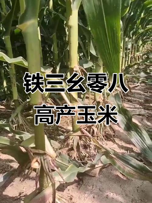 信合卡是什么银行卡_信合369_信合银行