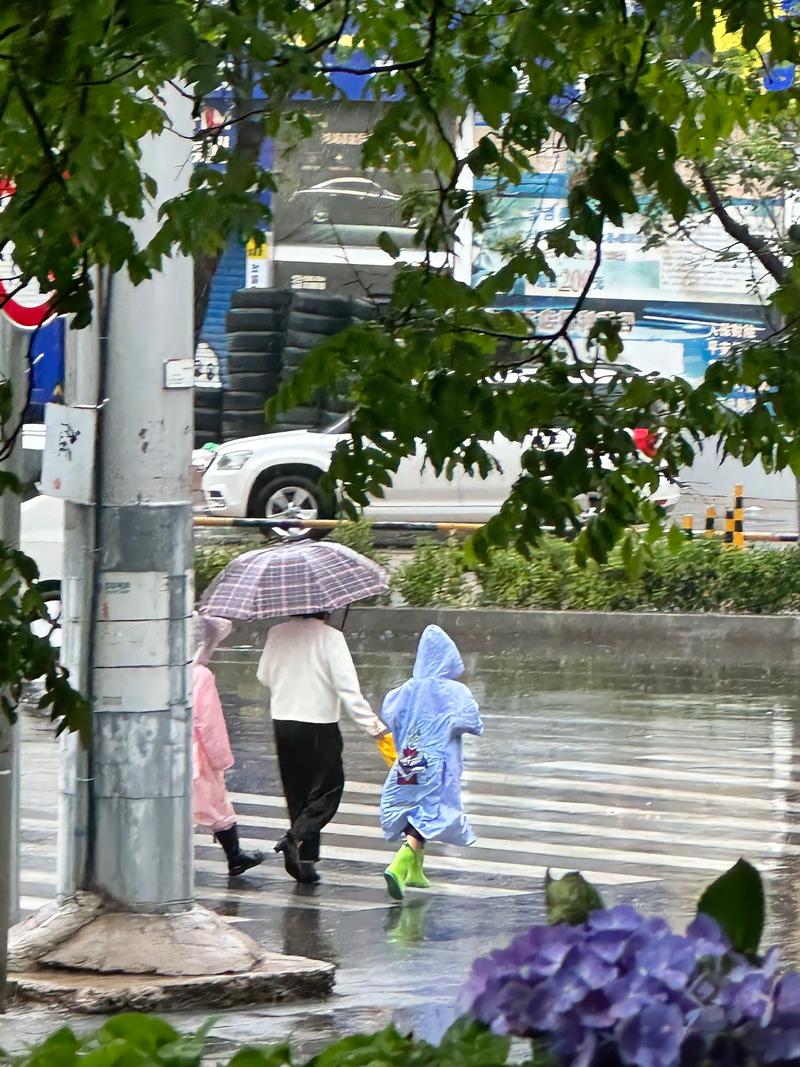 雨后抓拍闪图技巧，记录生活小确幸与街头瞬间