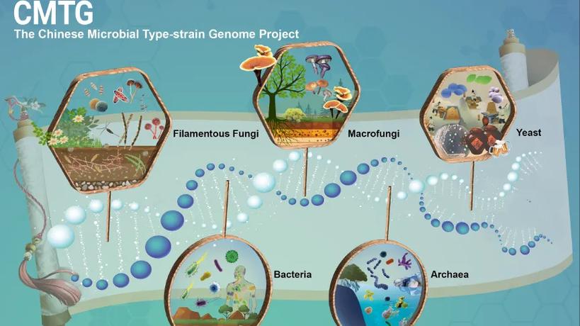 走进不思议微生物研究所：探秘极端微生物的超能力与环保应用