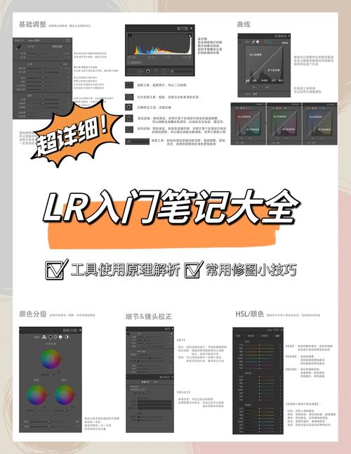 neat image_neat image_neat image