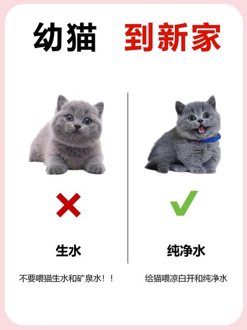 pussinboots_puss_pussinboot