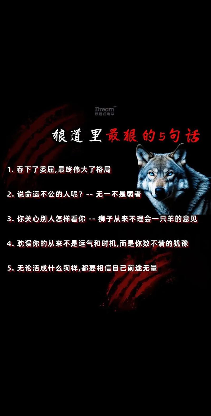 痞子狼cv_痞子狼cv_痞子狼