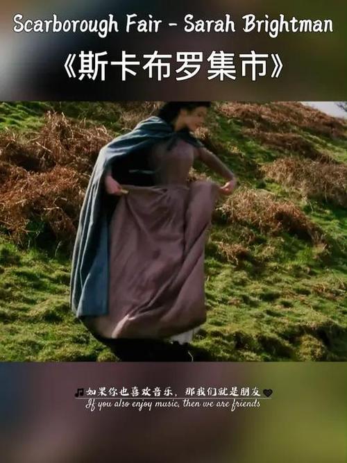 斯卡保罗集市教学_斯卡保罗集市集市_斯卡保罗集市