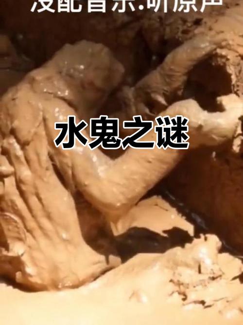 阴阳乱世三国水怪怎么打_乱世三国阴阳水怪_三国乱世阳春献礼活动