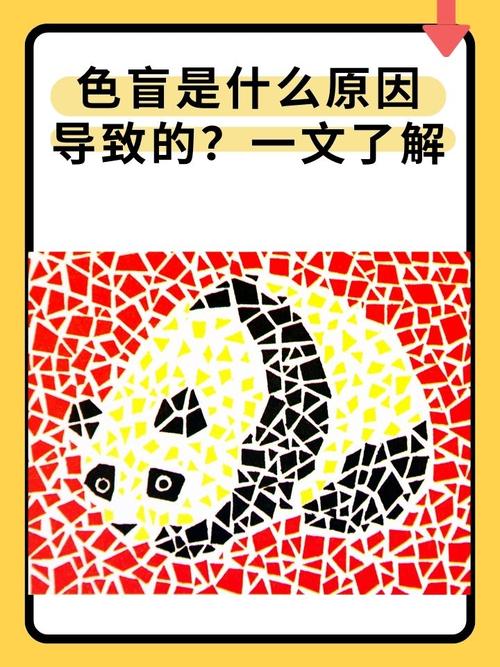 你是不是色盲？别再只看图片了！专业诊断和生活设计全解析