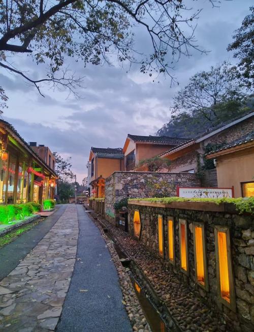 洛邦特_洛邦特阿贾克斯_洛邦特女友