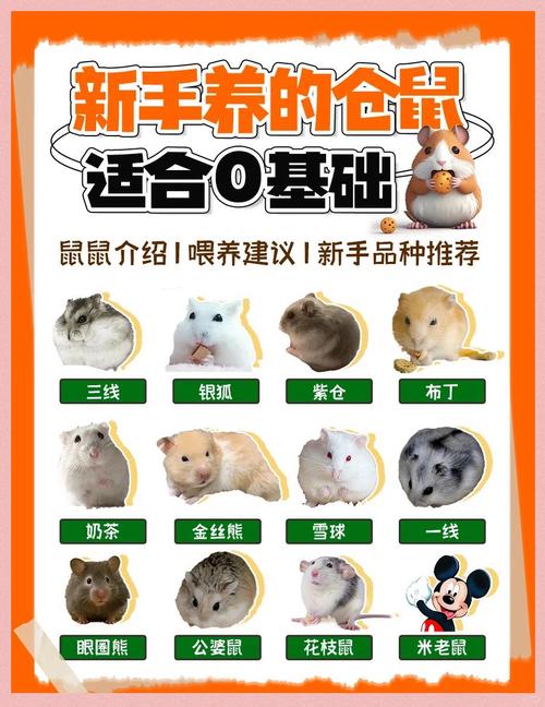 小潘鼠潘炜_小潘鼠比基尼_小潘鼠