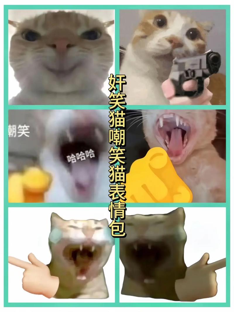 猥琐猫表情包长发_猥琐猫表情包导入微信_猥琐猫qq表情包