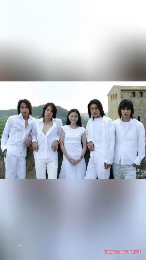 电视剧演电视剧_电视演剧沉默的荣耀_f4演的电视剧