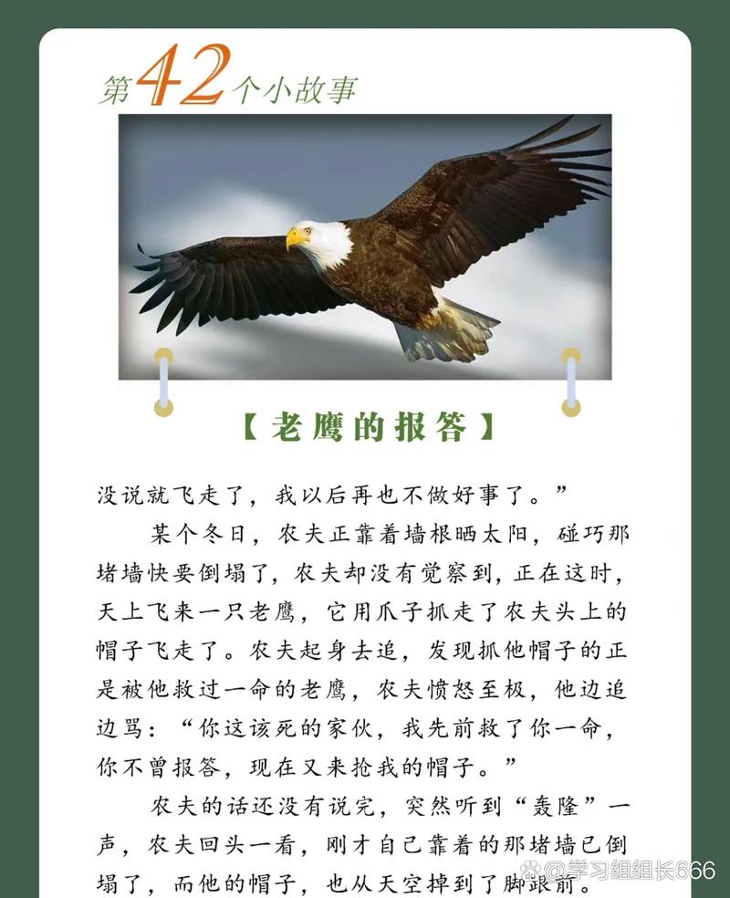 蓝色的装饰物_动物装饰篮梦幻锦衣_动物装饰篮