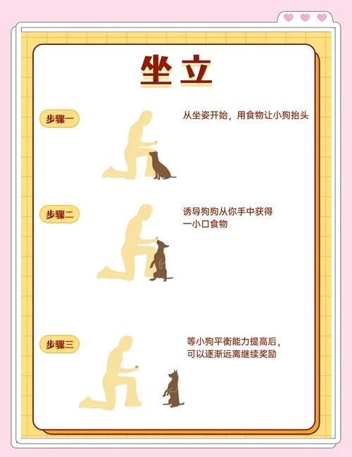 小狗下百层怎么玩？反应慢怎么得高分技巧攻略