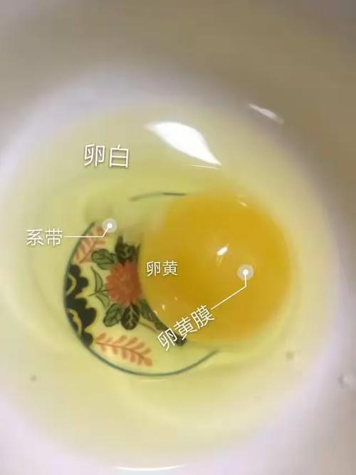 破坏罗特斯的卵_破坏罗特斯的卵_破坏罗特斯的卵