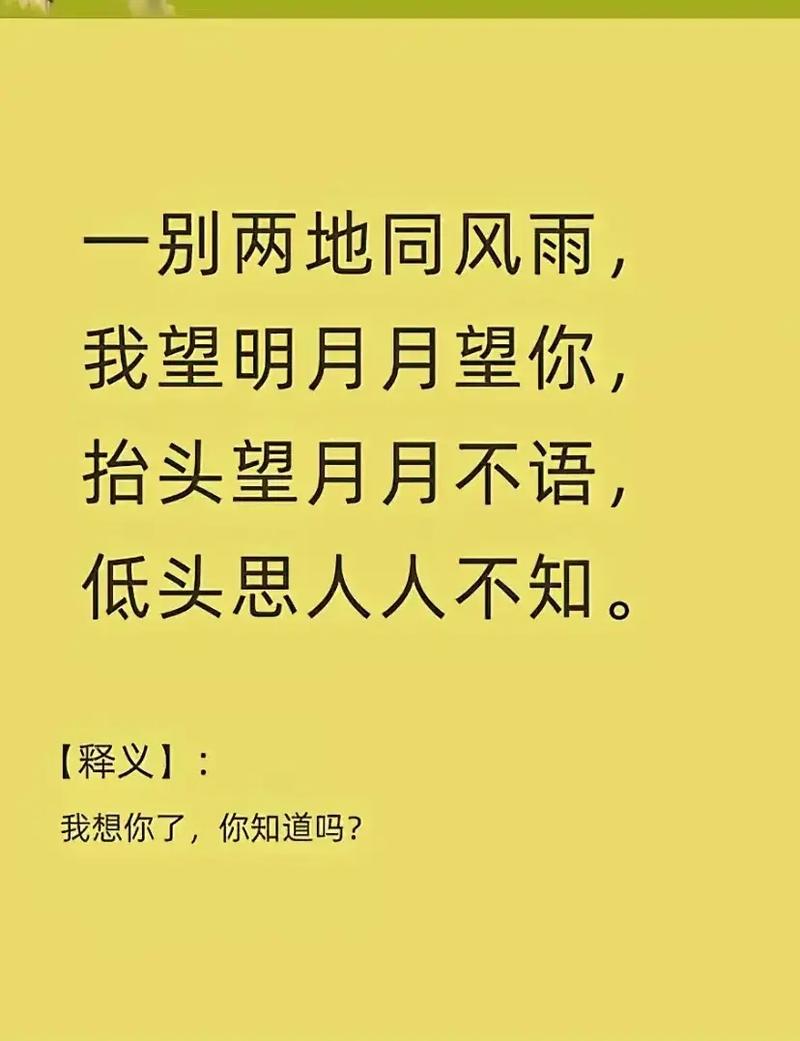 最痴情的等待词_痴情的等待歌词_痴情等待的意思