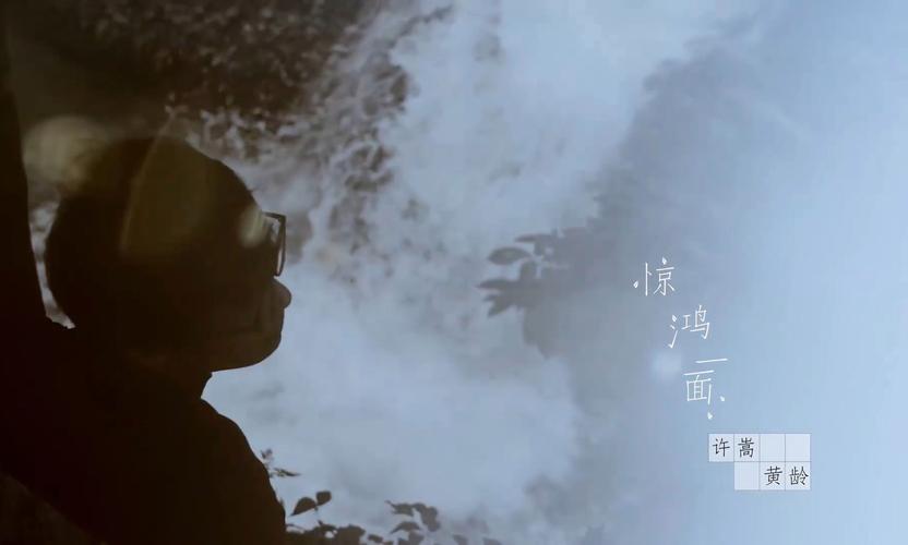 惊鸿面唯独盛世颜_惊鸿一面mv_惊鸿面是哪首歌里的歌词