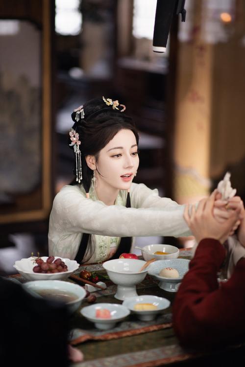 倾向上世皇妃百度云_倾世皇妃皇上_倾世皇妃天天向上