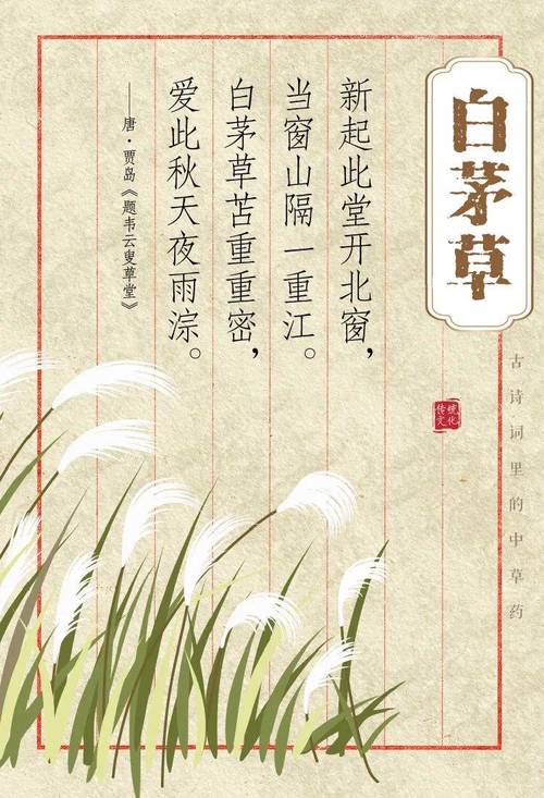 诗词与药材任务_诗与药材_找到诗词对应的四种药材