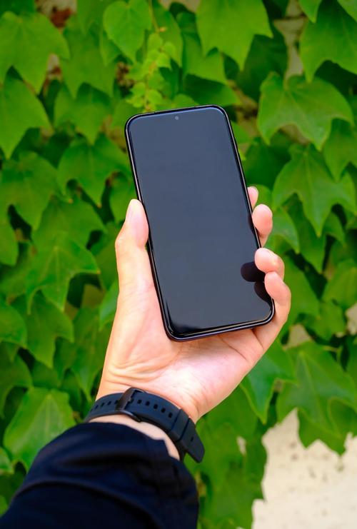 阿尔法手机图片_阿尔法特手机_阿尔法手机价格