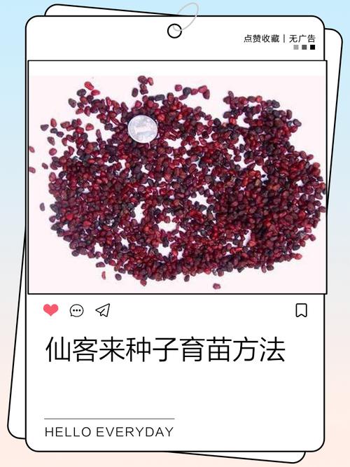 种子搜索利器_种子利器下载_种子利器
